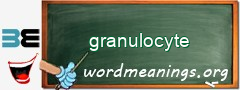 WordMeaning blackboard for granulocyte